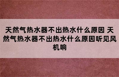 天然气热水器不出热水什么原因 天然气热水器不出热水什么原因听见风机响